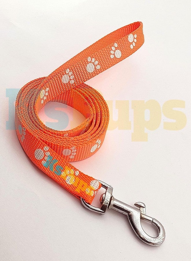 KsPups Paw Printed 15MM Nylon Collar and Leash with Adjustable Plastic Buckle Colour-Full Collar Leash Set Ideal for Puppies/Dogs & Kitten (Orange) - Image 3